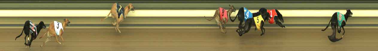 Photo finish for Warragul Race 2