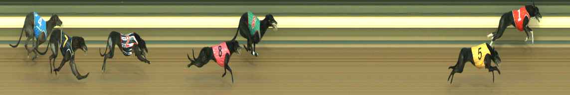 Photo finish for Warragul Race 4