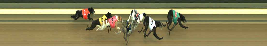 Photo finish for Warragul Race 5