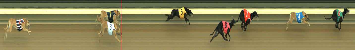 Photo finish for Warragul Race 6