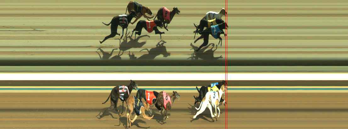 Photo finish for Warragul Race 7