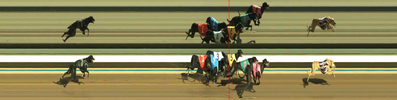 Photo finish for Warragul Race 9