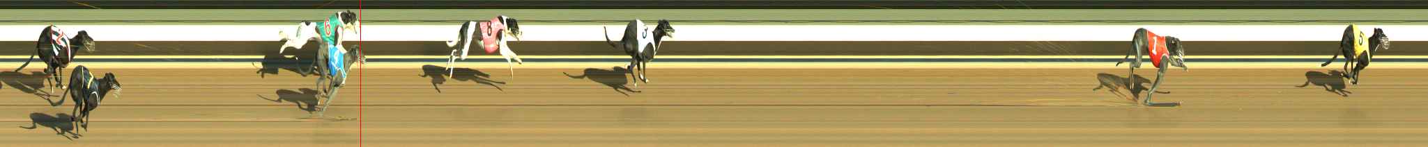 Photo finish for Warragul Race 11