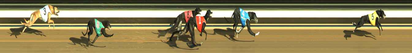 Photo finish for Warragul Race 12