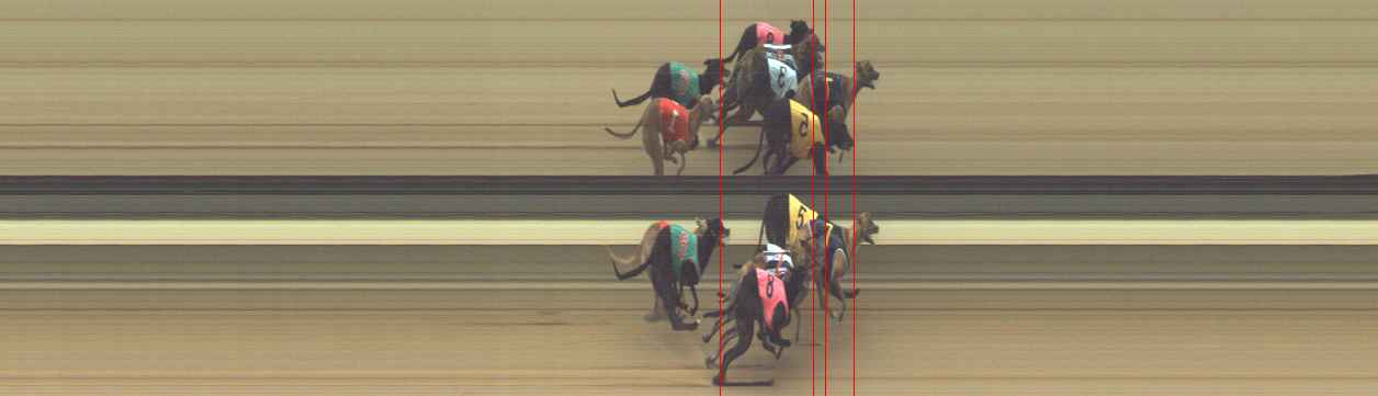 Photo finish for Warragul Race 1
