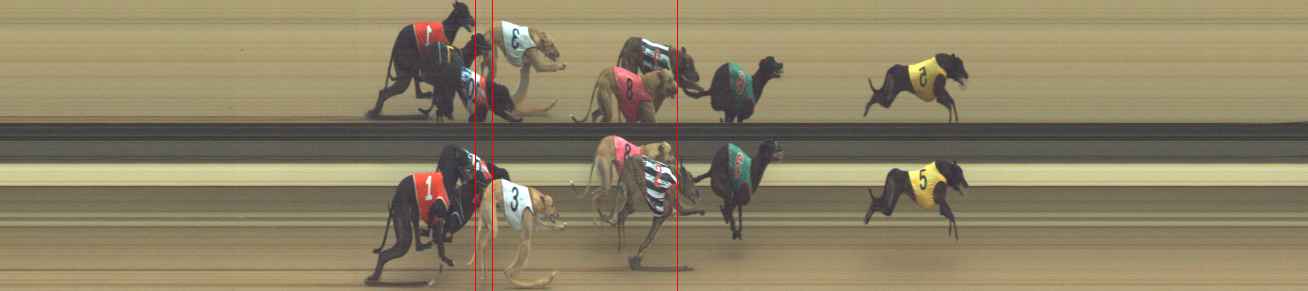Photo finish for Warragul Race 2