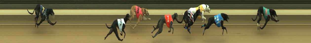 Photo finish for Warragul Race 3