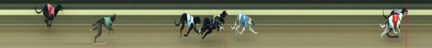 Photo finish for Warragul Race 4