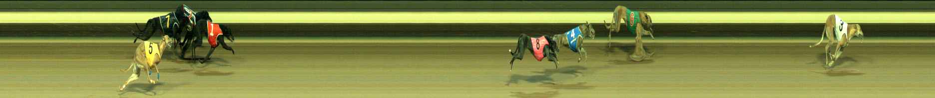 Photo finish for Warragul Race 6