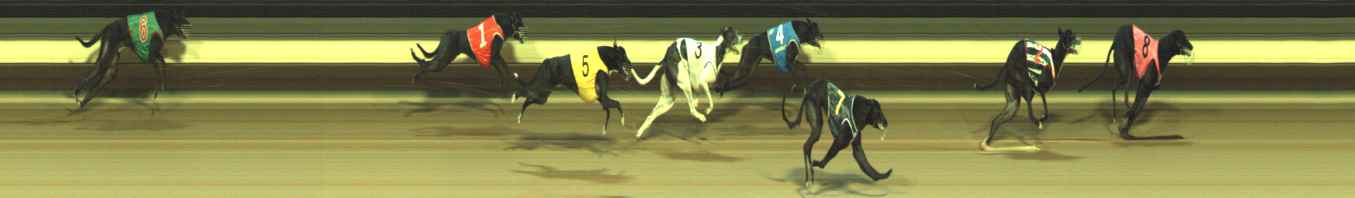 Photo finish for Warragul Race 7