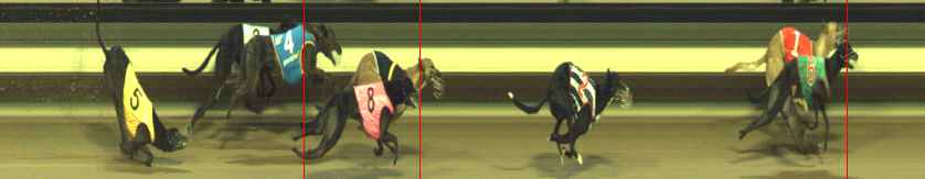 Photo finish for Warragul Race 8
