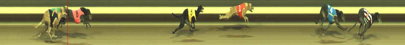 Photo finish for Warragul Race 9