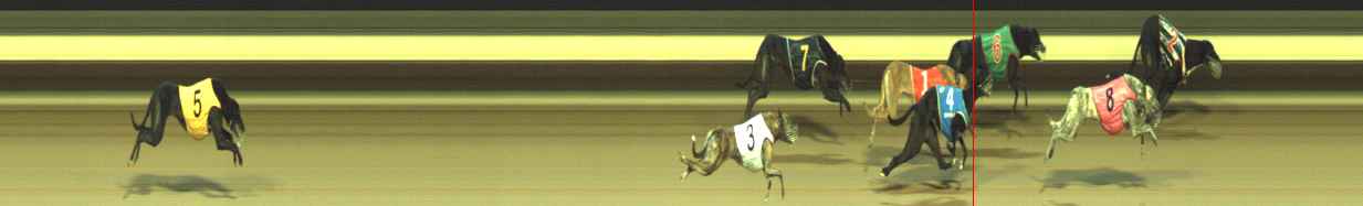 Photo finish for Warragul Race 11