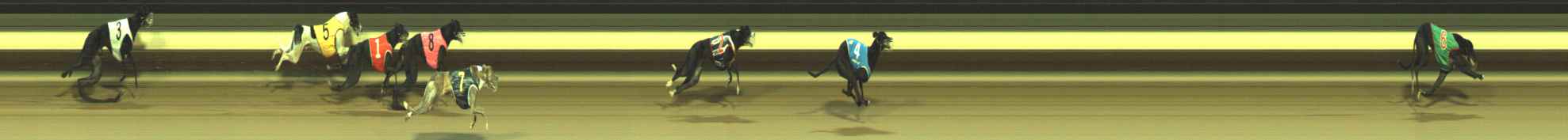 Photo finish for Warragul Race 12