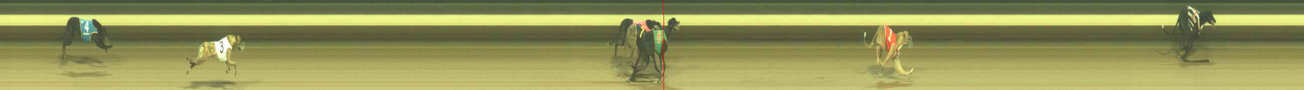 Photo finish for Warragul Race 1
