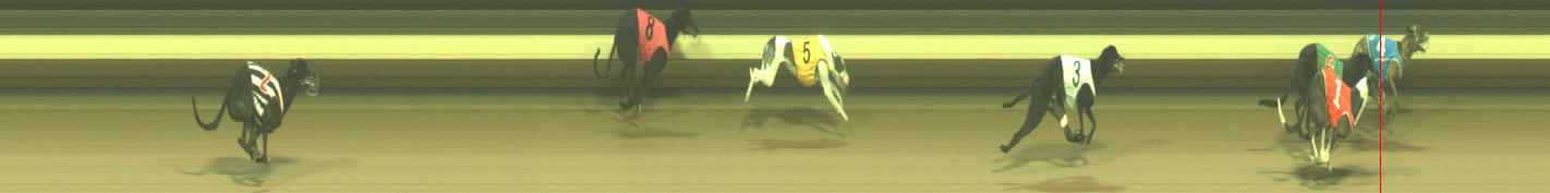 Photo finish for Warragul Race 2