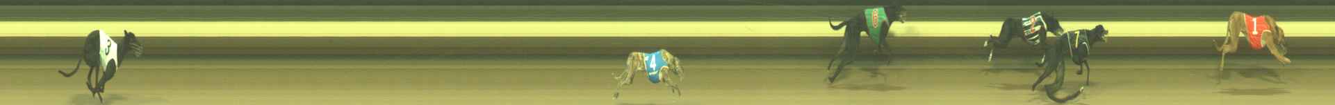 Photo finish for Warragul Race 3