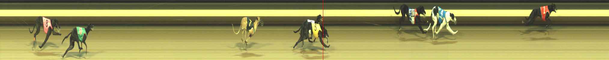 Photo finish for Warragul Race 4