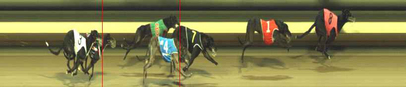Photo finish for Warragul Race 5