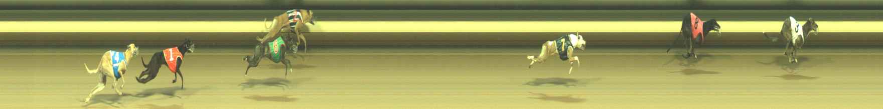 Photo finish for Warragul Race 6