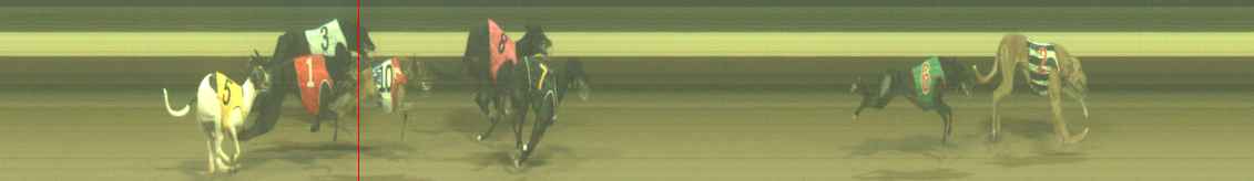 Photo finish for Warragul Race 7