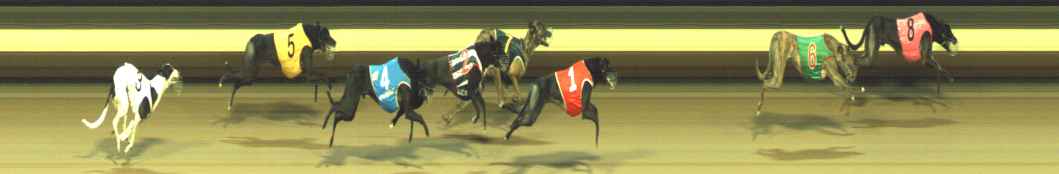 Photo finish for Warragul Race 8