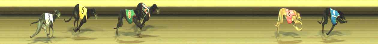 Photo finish for Warragul Race 10