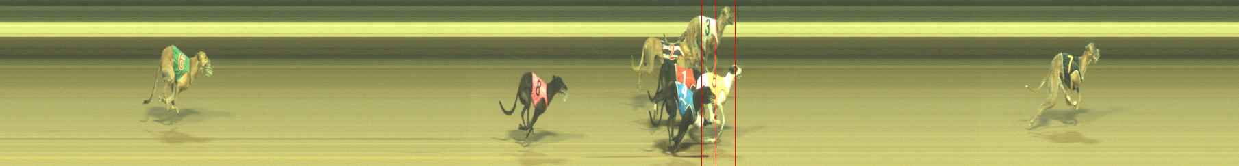 Photo finish for Warragul Race 11