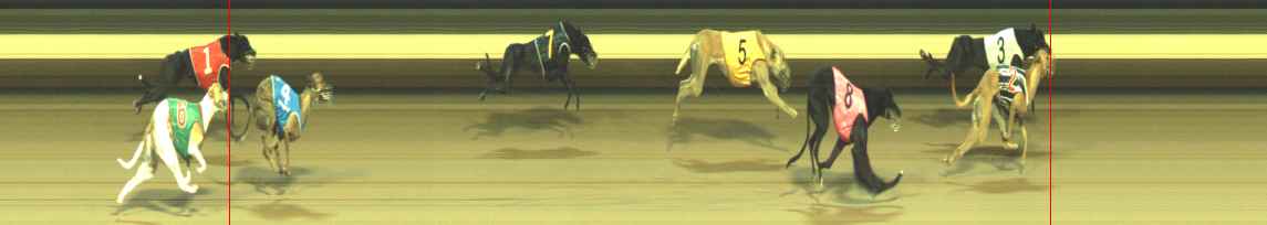 Photo finish for Warragul Race 12