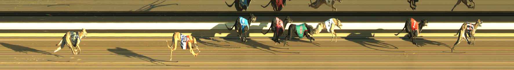 Photo finish for Warragul Race 3