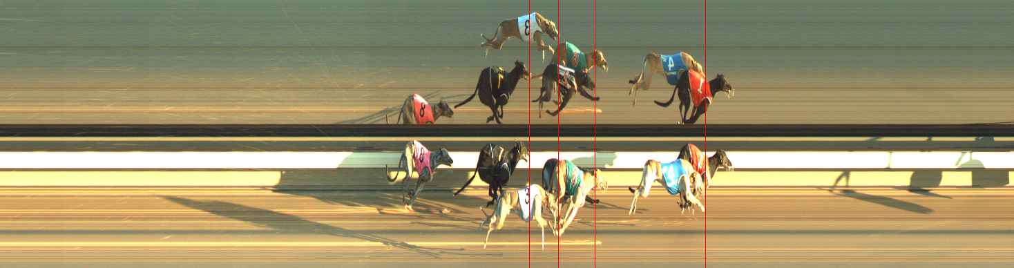 Photo finish for Warragul Race 5