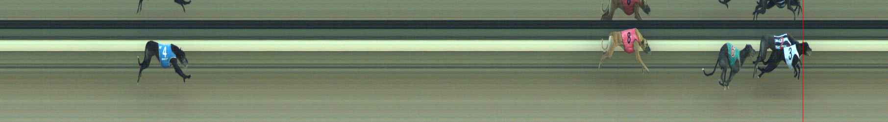 Photo finish for Warragul Race 6