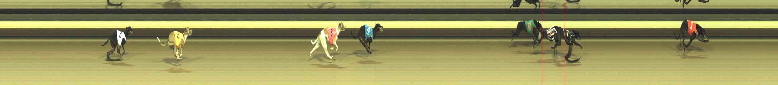 Photo finish for Warragul Race 7