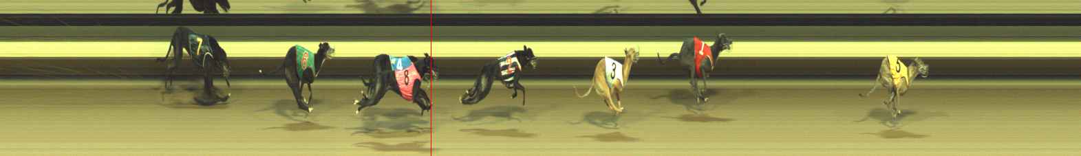 Photo finish for Warragul Race 8