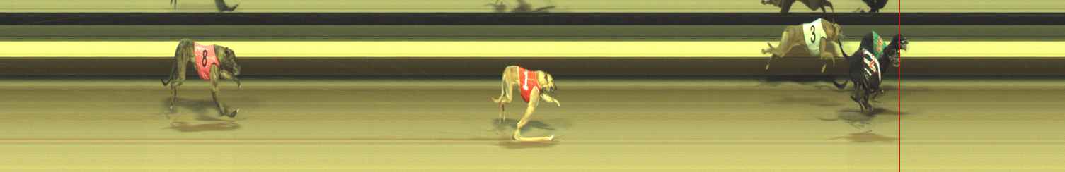 Photo finish for Warragul Race 9
