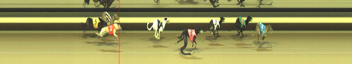Photo finish for Warragul Race 11