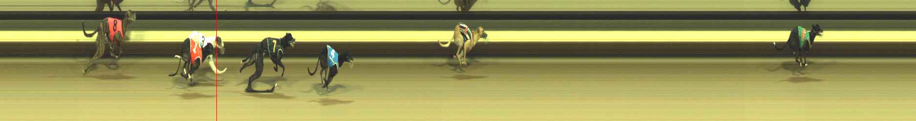 Photo finish for Warragul Race 12