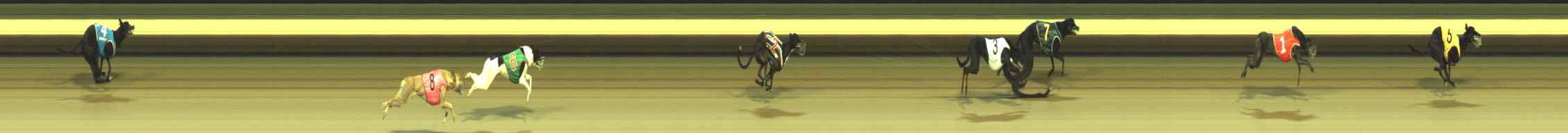 Photo finish for Warragul Race 1