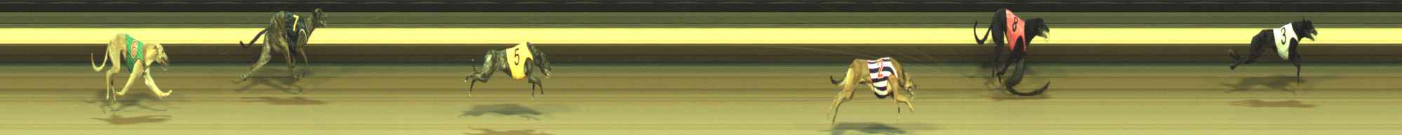 Photo finish for Warragul Race 2