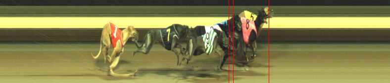 Photo finish for Warragul Race 3