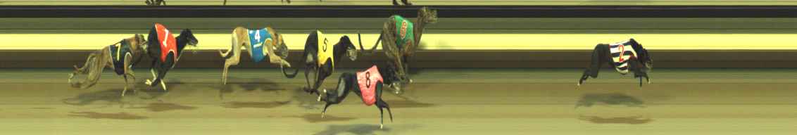 Photo finish for Warragul Race 4