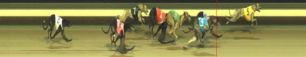 Photo finish for Warragul Race 5