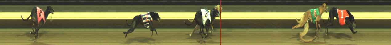 Photo finish for Warragul Race 8