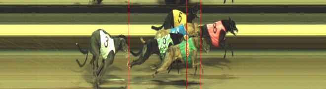 Photo finish for Warragul Race 10
