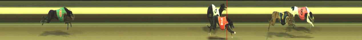 Photo finish for Warragul Race 11