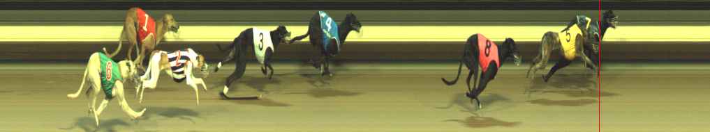 Photo finish for Warragul Race 12