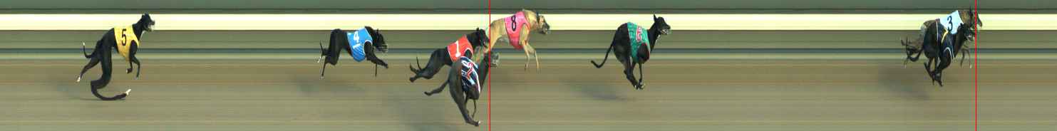 Photo finish for Warragul Race 1
