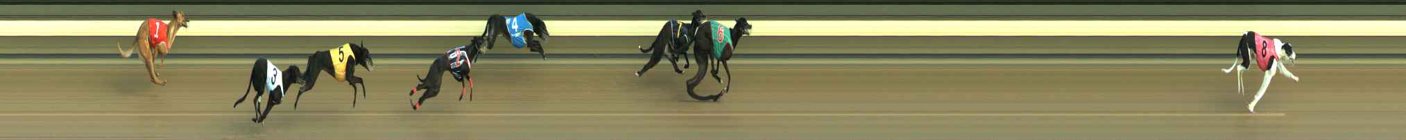 Photo finish for Warragul Race 2