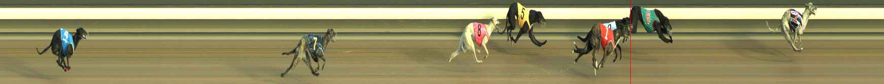 Photo finish for Warragul Race 3