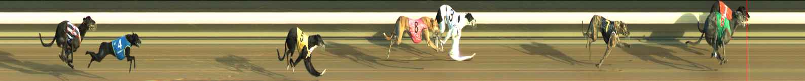 Photo finish for Warragul Race 4
